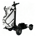 Foldable 4 Wheel Electric Golf Scooter Rideable Golf Trolley